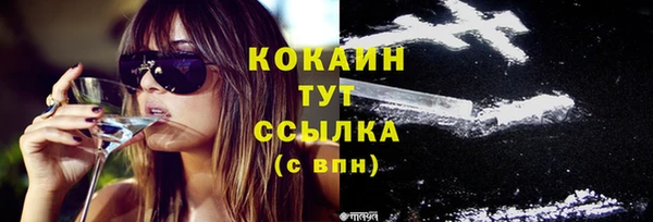 эйфоретик Осинники