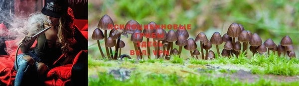 эйфоретик Осинники