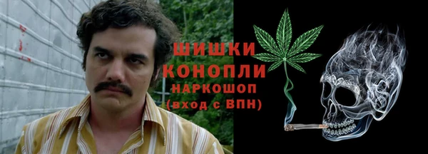 PSILOCYBIN Нягань