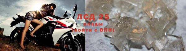 эйфоретик Осинники