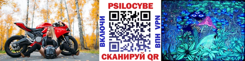 Галлюциногенные грибы Psilocybe  дарк нет Telegram  Суоярви 